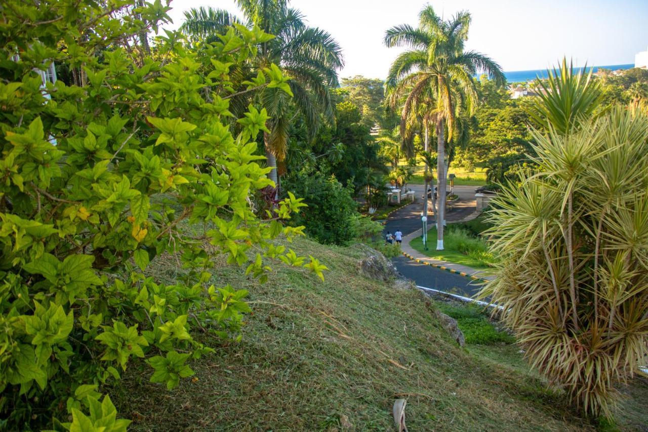 E 20 Mystic Ridge Ocho Rios Apartment Екстериор снимка